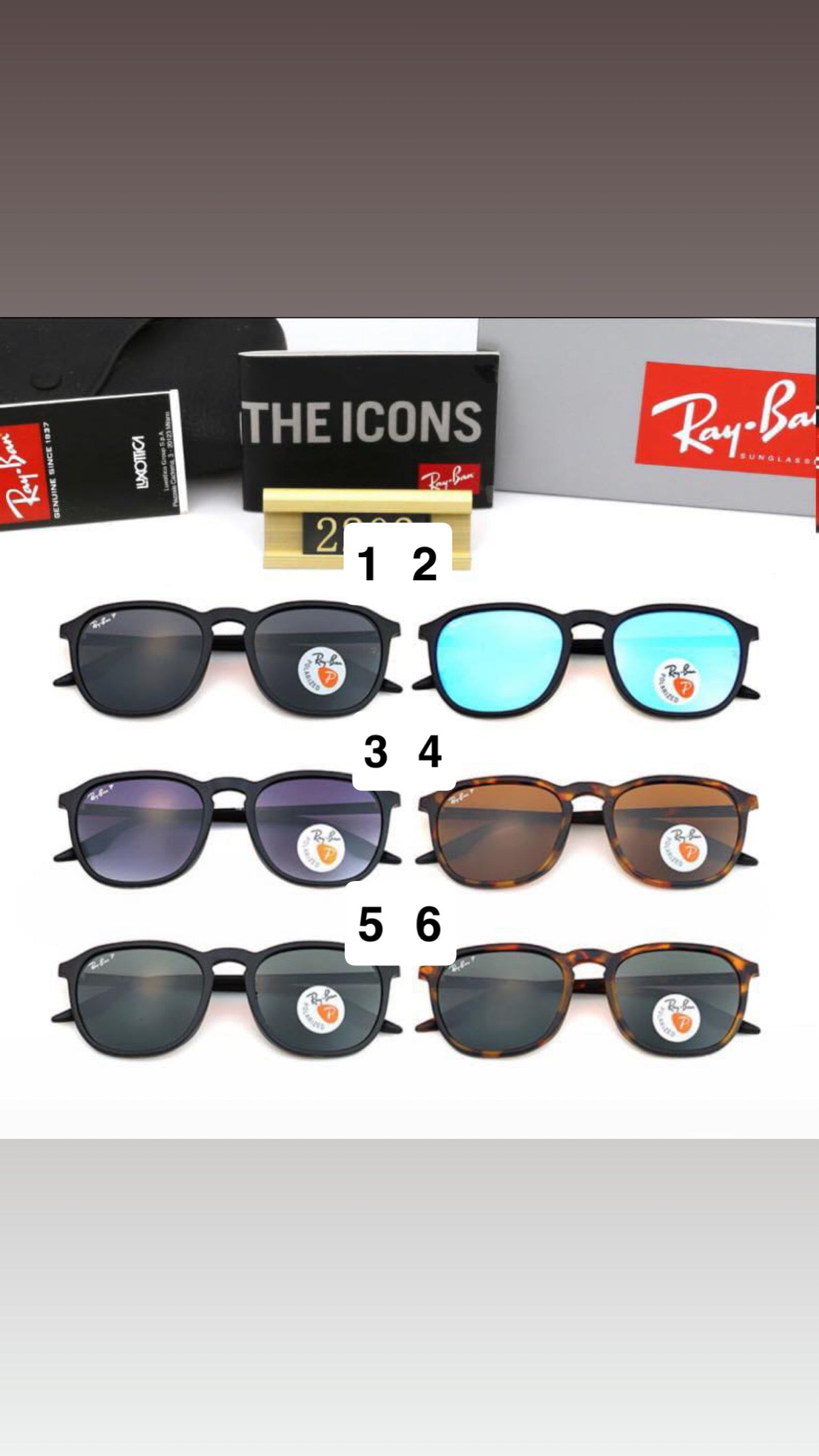 Ray Sun Glasses